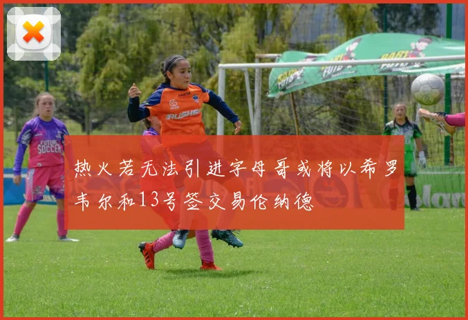 热火若无法引进字母哥或将以希罗韦尔和13号签交易伦纳德